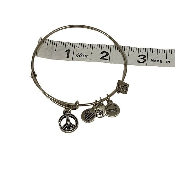 Alex and Ani Unicef Peace Sign Charm Bracelet SIlver Tone - Picture 5 of 5